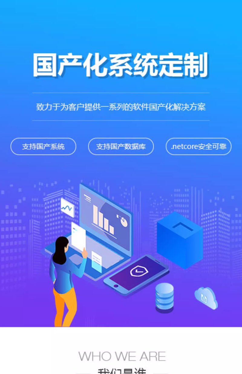 企业信息化系统:成本解析